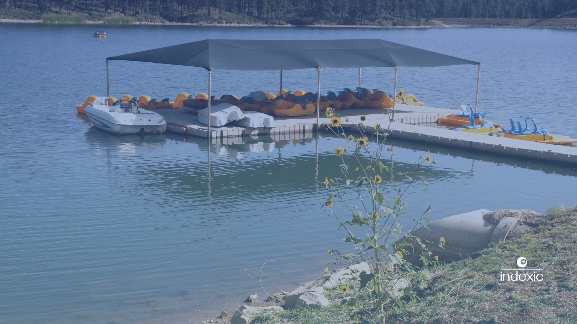 Why Top Operators Are Using Boat Rental Booking Software To Boost Sales